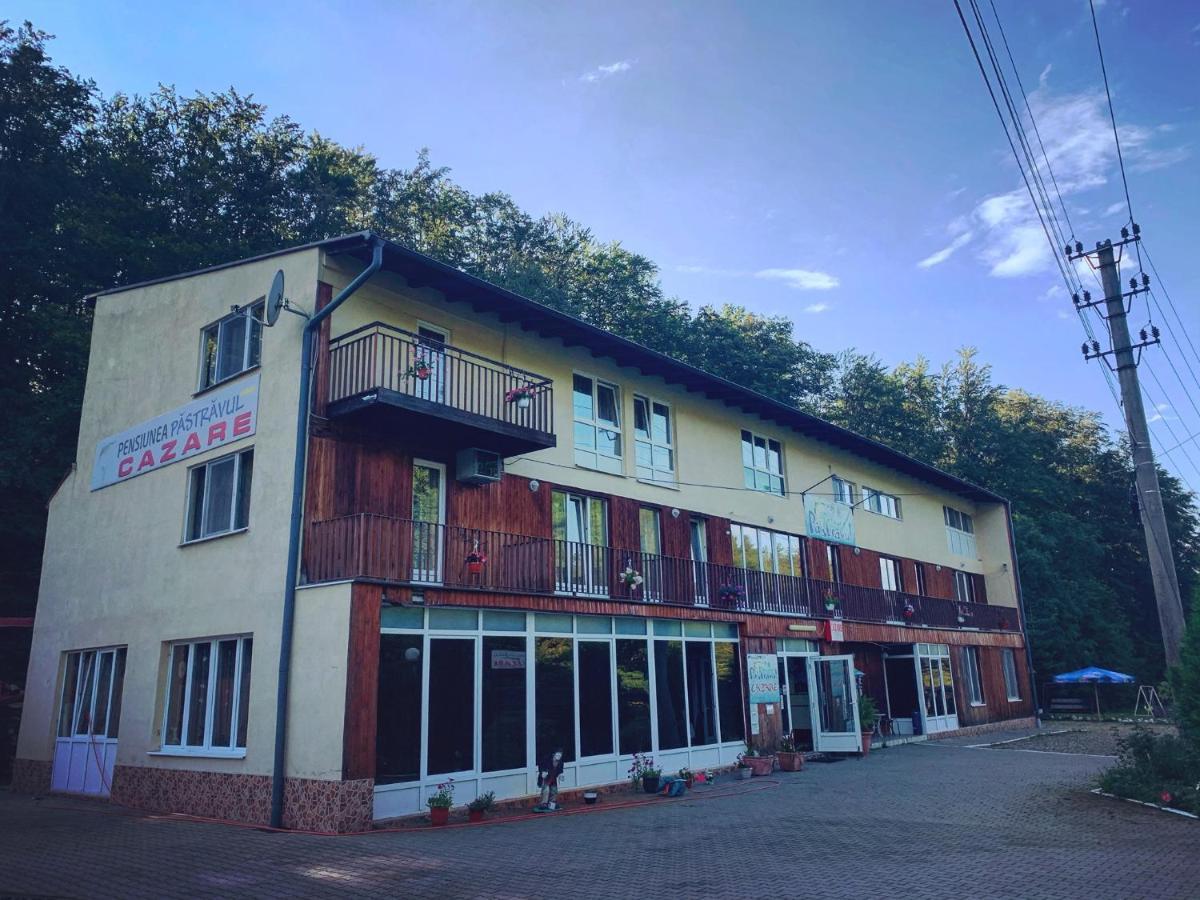 Hotel Pensiunea Pastravul Cîrţişoara Esterno foto