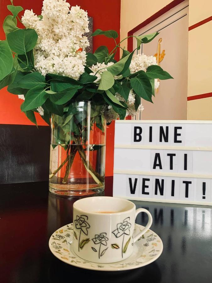 Hotel Pensiunea Pastravul Cîrţişoara Esterno foto