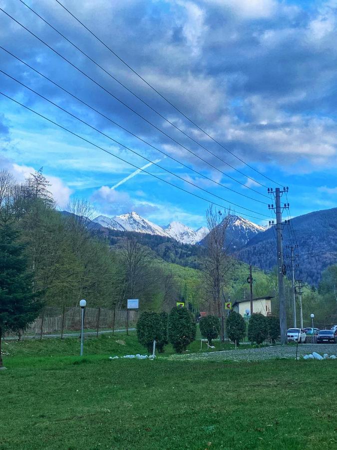 Hotel Pensiunea Pastravul Cîrţişoara Esterno foto
