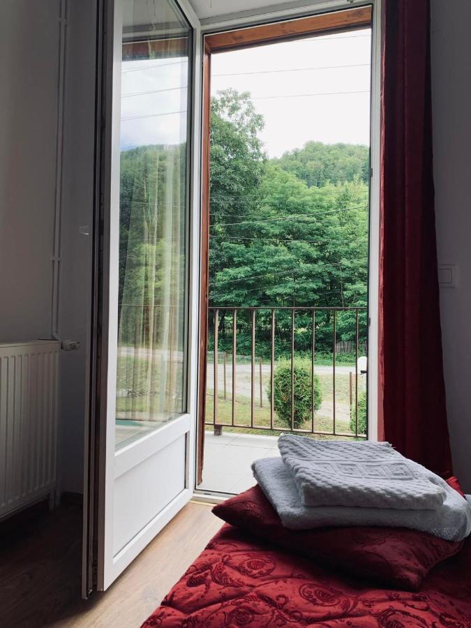 Hotel Pensiunea Pastravul Cîrţişoara Esterno foto