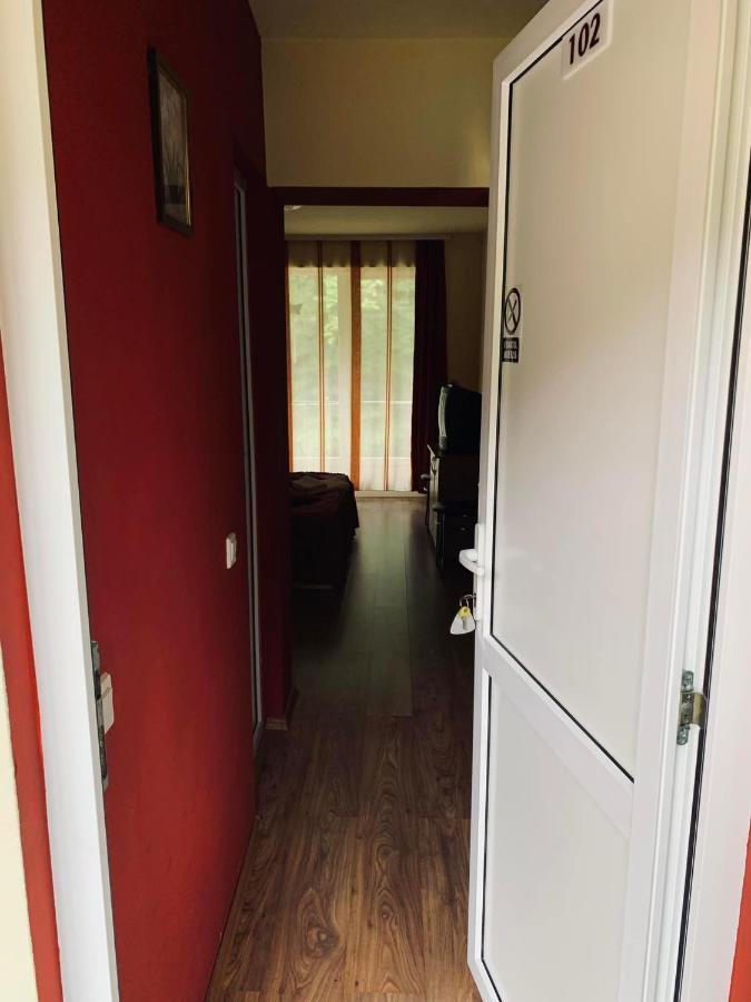 Hotel Pensiunea Pastravul Cîrţişoara Esterno foto