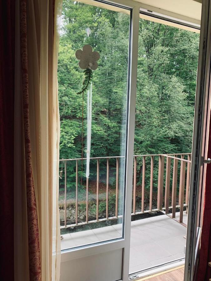 Hotel Pensiunea Pastravul Cîrţişoara Esterno foto