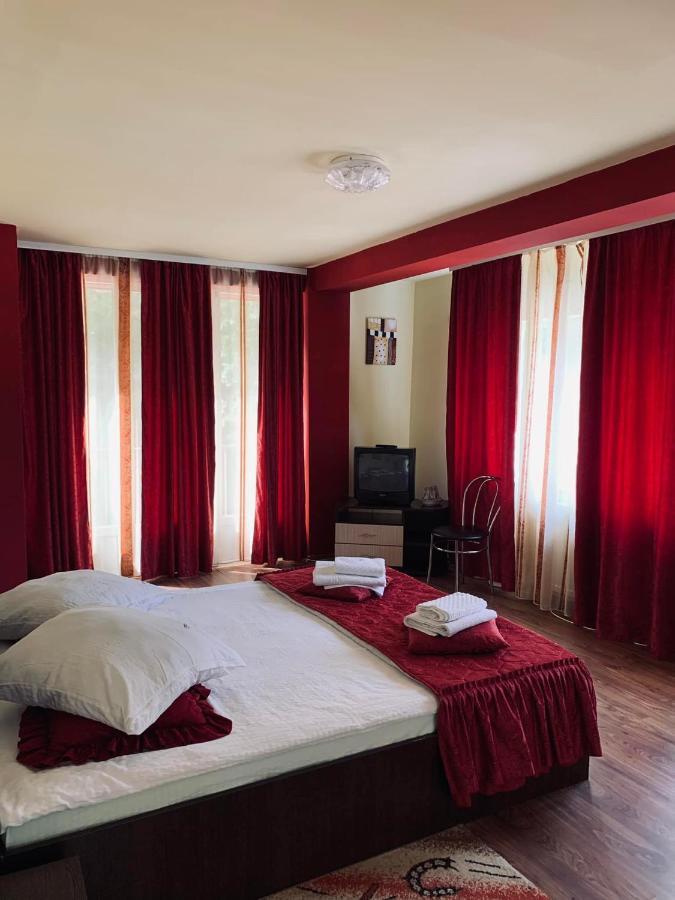 Hotel Pensiunea Pastravul Cîrţişoara Esterno foto