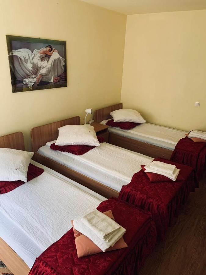 Hotel Pensiunea Pastravul Cîrţişoara Esterno foto