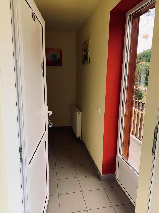 Hotel Pensiunea Pastravul Cîrţişoara Esterno foto