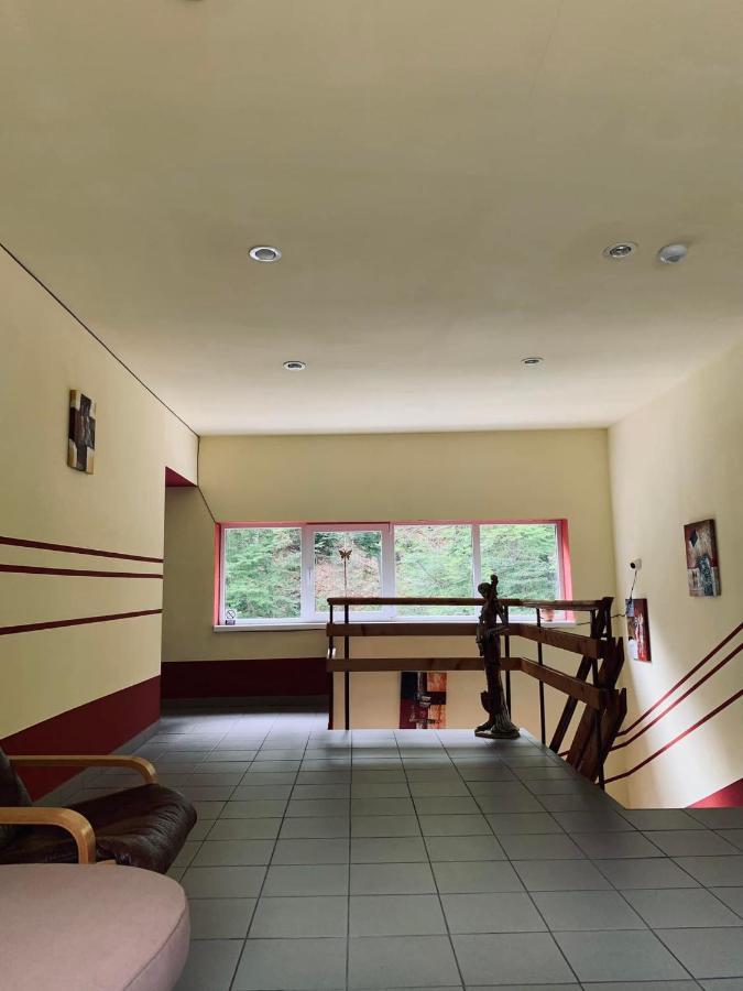 Hotel Pensiunea Pastravul Cîrţişoara Esterno foto