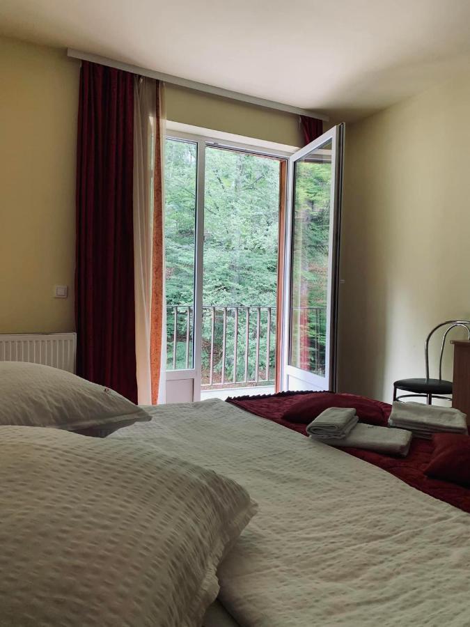 Hotel Pensiunea Pastravul Cîrţişoara Esterno foto