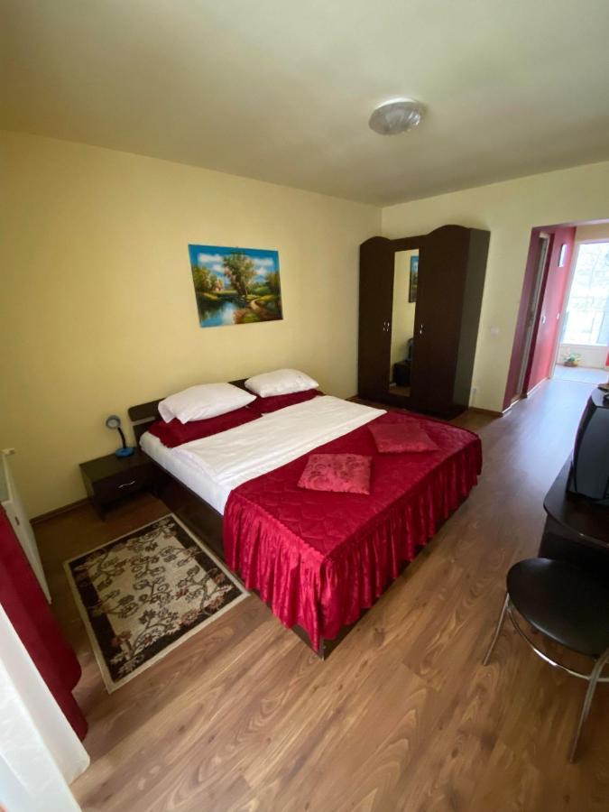Hotel Pensiunea Pastravul Cîrţişoara Esterno foto