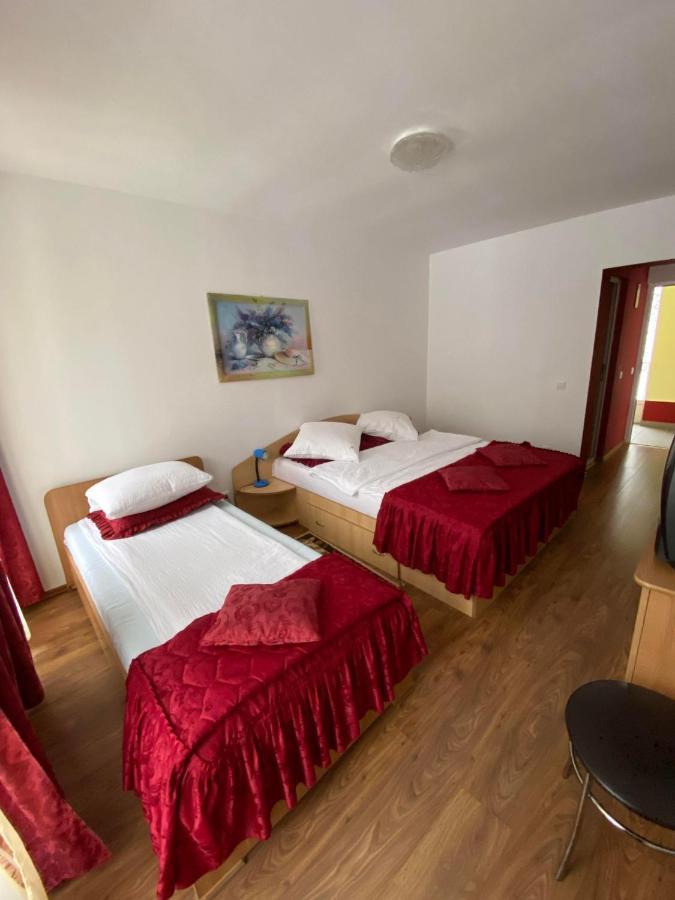 Hotel Pensiunea Pastravul Cîrţişoara Esterno foto
