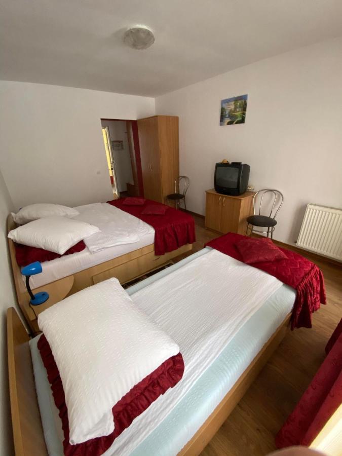 Hotel Pensiunea Pastravul Cîrţişoara Esterno foto
