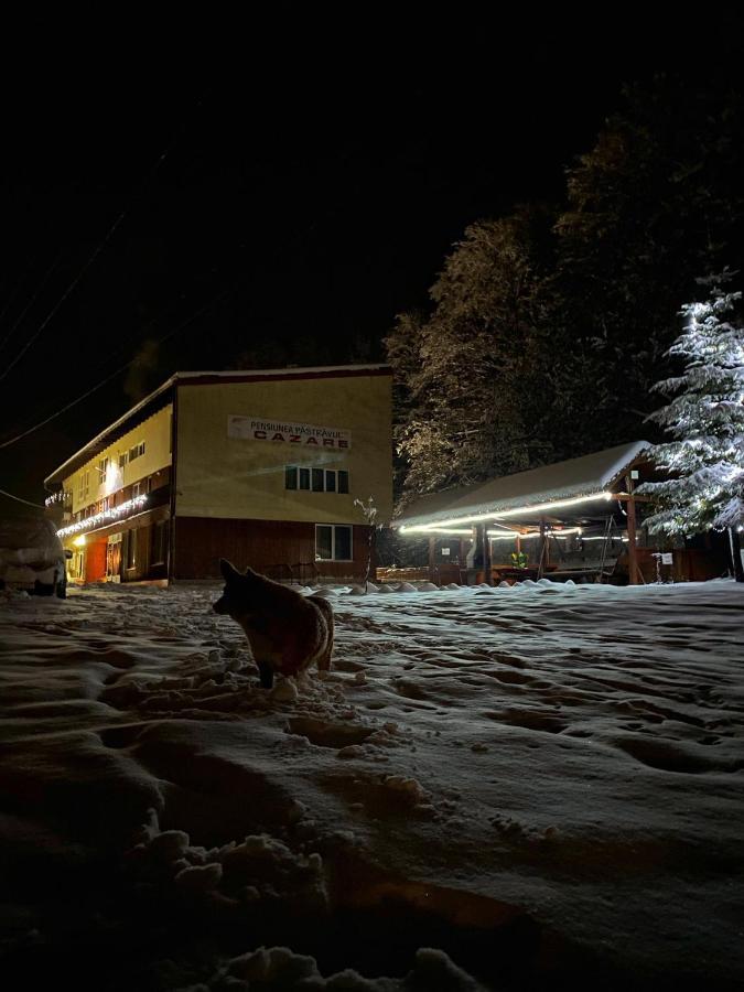 Hotel Pensiunea Pastravul Cîrţişoara Esterno foto