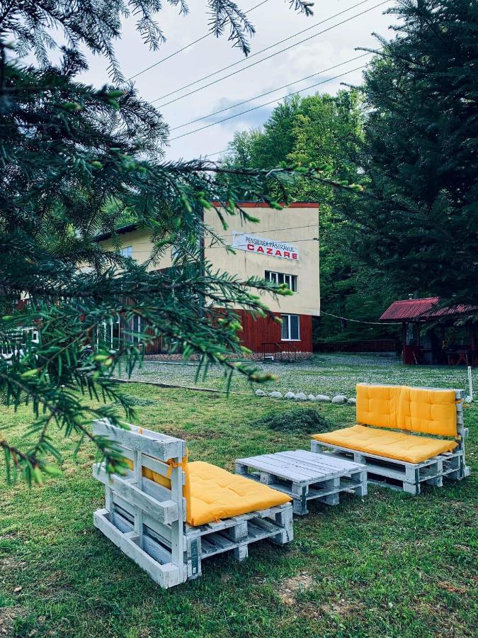 Hotel Pensiunea Pastravul Cîrţişoara Esterno foto