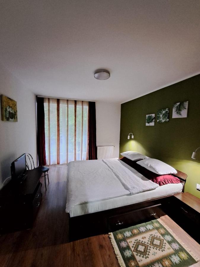 Hotel Pensiunea Pastravul Cîrţişoara Esterno foto
