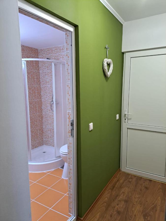 Hotel Pensiunea Pastravul Cîrţişoara Esterno foto