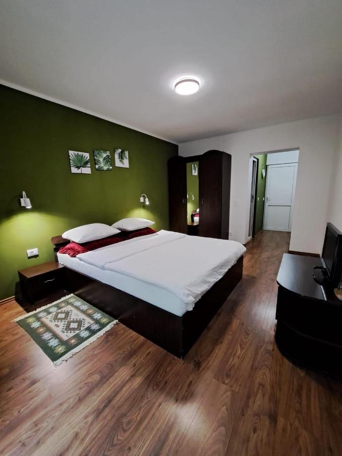 Hotel Pensiunea Pastravul Cîrţişoara Esterno foto